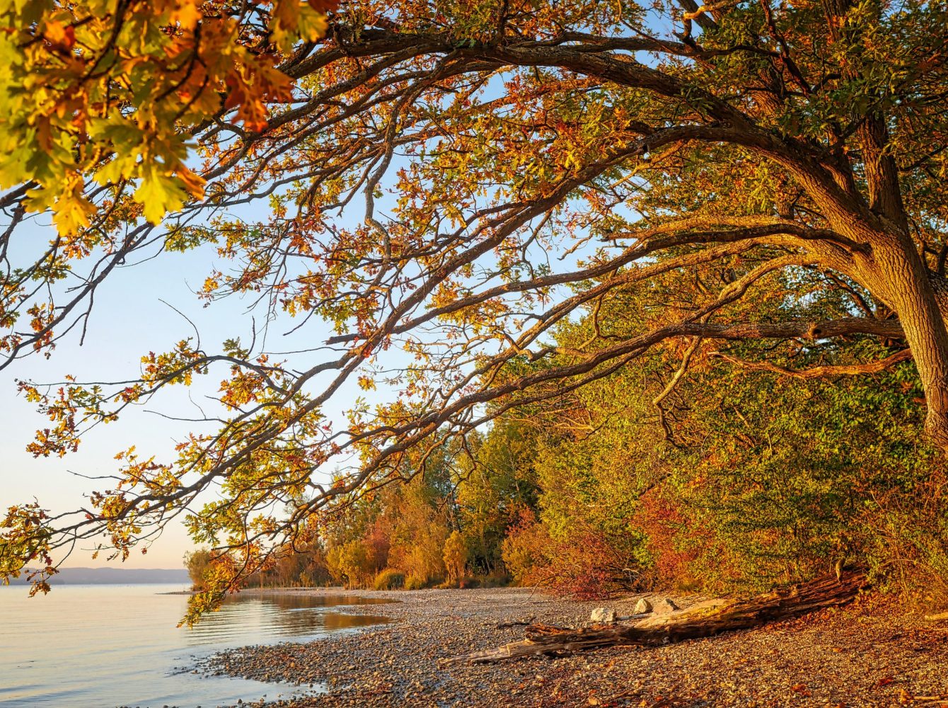 see abenddämmerung ufer
